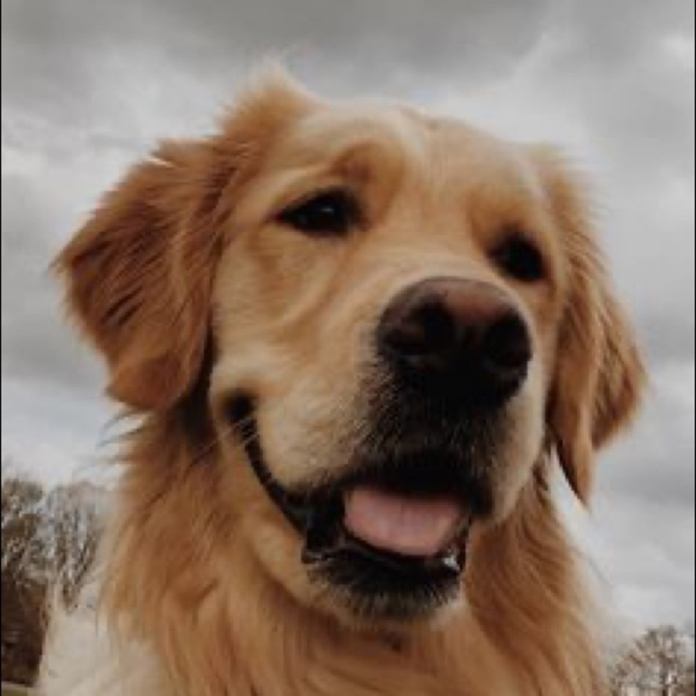 Meet your Posher, Asna